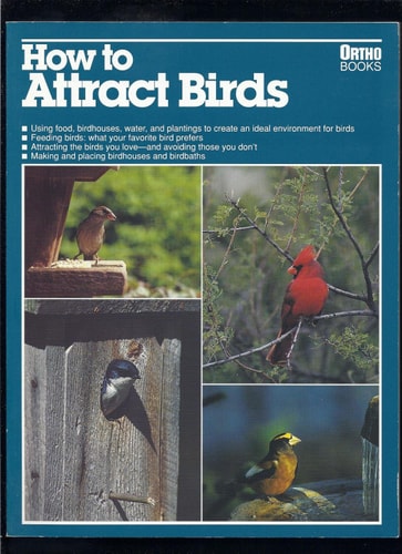How to Attract Birds
