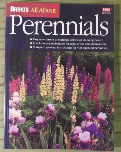 All about Perennials