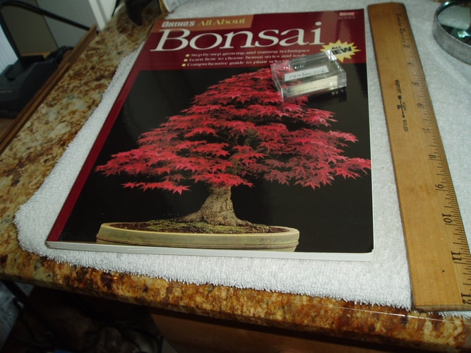 Ortho's All about Bonsai