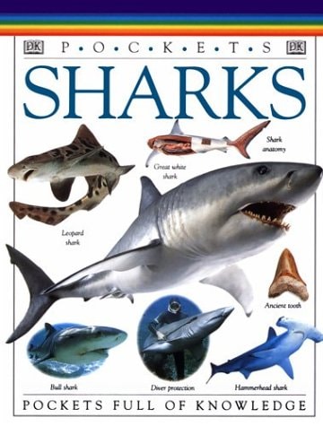 Sharks (Travel Guide)