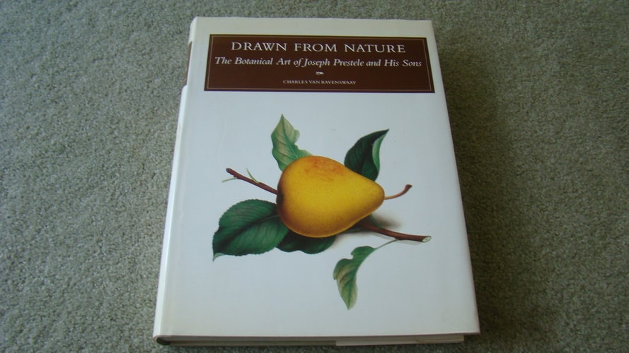 Drawn to Art. A nineteenth century American dream. Foreword by Rudolf Arnheim.