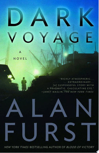 Dark Voyage: A Novel