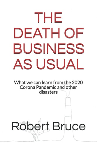 THE DEATH OF BUSINESS AS USUAL: What we can learn from the 2020 Corona Pandemic and other disasters