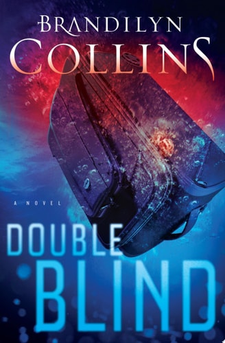 Double Blind: A Novel