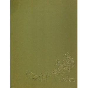Secret Life of the Forest