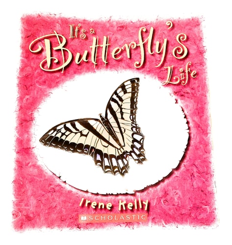 It's a Butterfly's Life