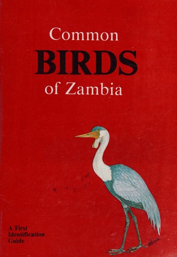 Common Birds of Zambia