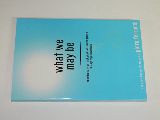 What We May Be by Ferrucci, Piero (2004) Paperback