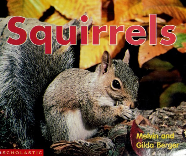 Squirrels (Scholastic time-to-discover readers)