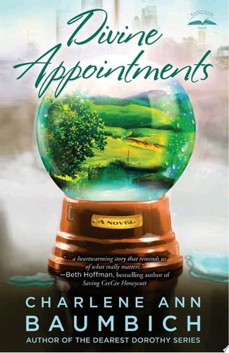 Divine Appointments: A Novel (A Snowglobe Connections Novel)