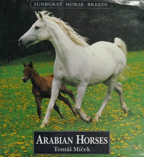 Arab Horses (Sunburst Horse Breeds)
