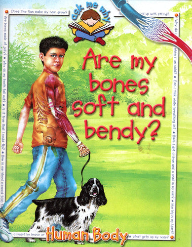 Are My Bones Soft and Bendy? (Ask Me Why: Human Body)