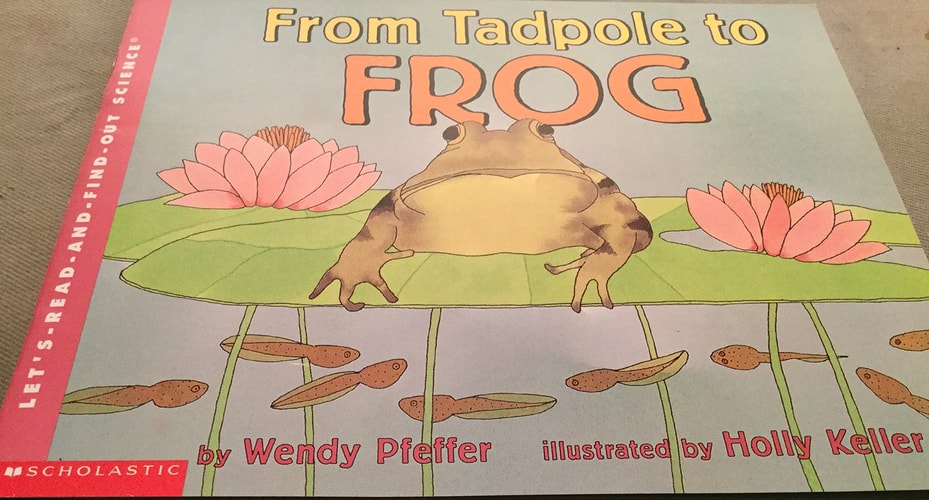 From Tadpole to Frog