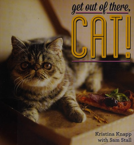 Get Out of There, Cat!