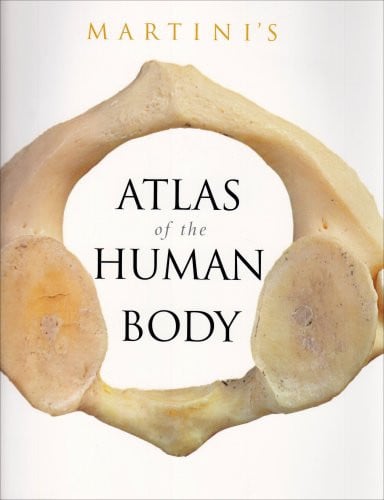Martini's Atlas of the Human Body