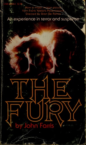 The fury: A novel
