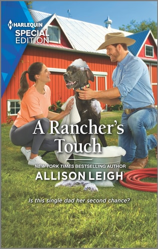 A Rancher's Touch (Return to the Double C, 18)