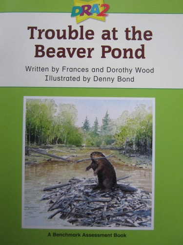 Trouble At the Beaver Pond