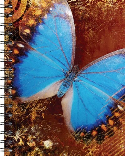 Blue Butterfly Journal - Medium