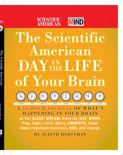 The Scientific American Day in the Life of Your Brain
