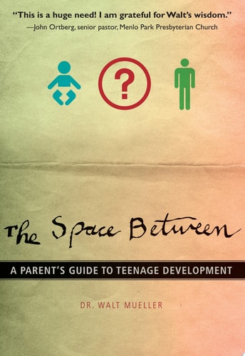 The Space Between: A Parent's Guide to Teenage Development (Youth Specialties (Paperback))