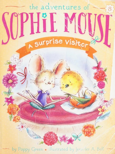 A Surprise Visitor