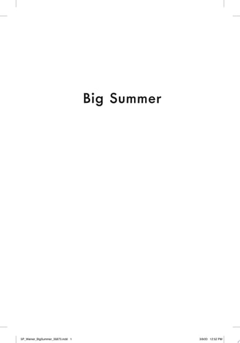 Big Summer: A Novel