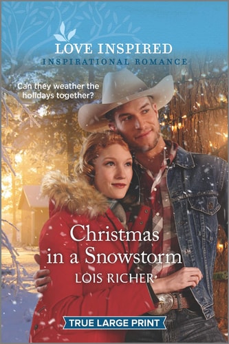 Christmas in a Snowstorm (The Calhoun Cowboys, 3)