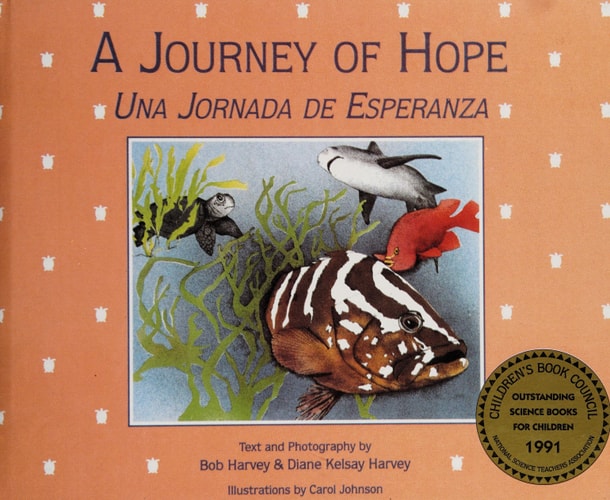 A journey of hope =: Una jornada de esperanza (Passports)