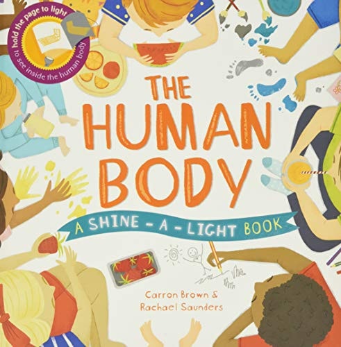 The Human Body