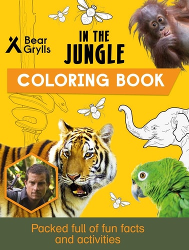 In the Jungle