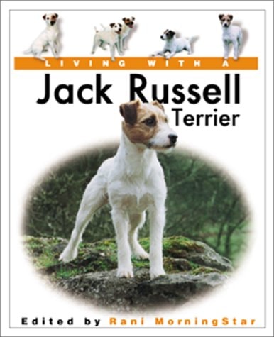 Living With a Jack Russell Terrier