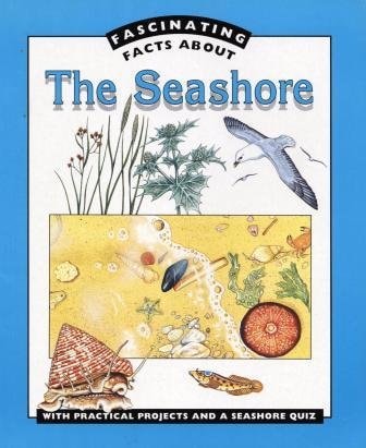 Fascinating Fact: Seashore,The (Fascinating Facts about)