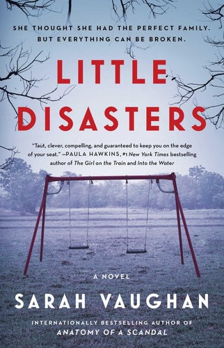 Little Disasters A Novel