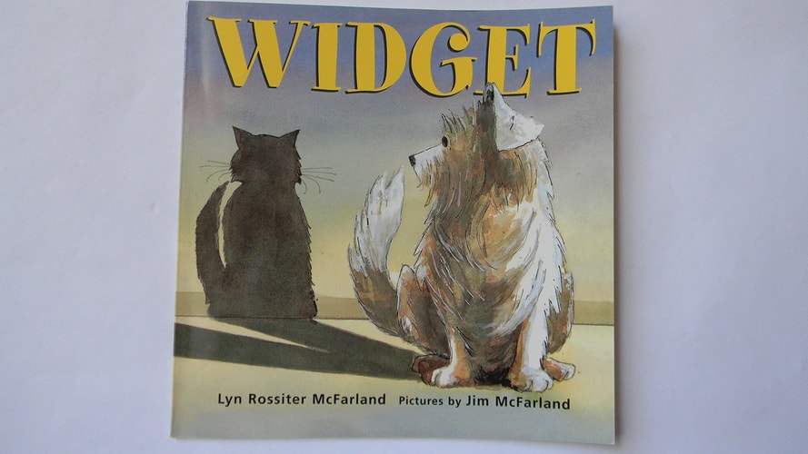 Widget