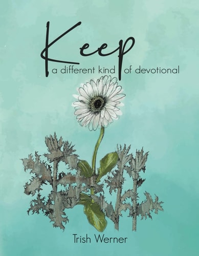 Keep: A Different Kind of Devotional (daily devotional with 53 themed weeks)
