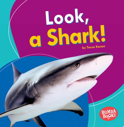 Look, a Shark! (Bumba Books ® ? I See Ocean Animals)