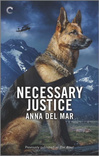 Necessary Justice