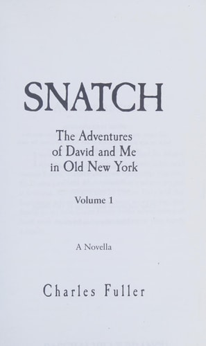 Snatch: The Adventures of David and Me in Old New York