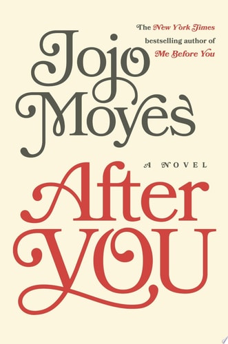 After You A Novel