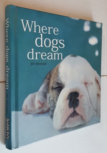 Where Dogs Dream