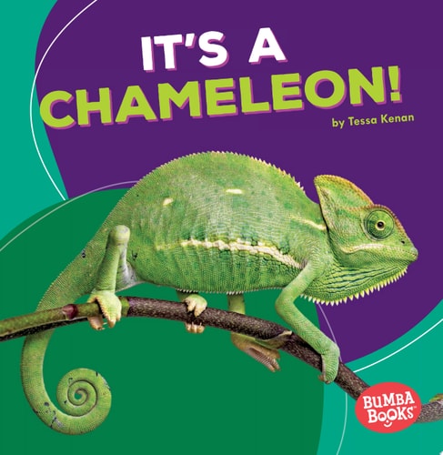 It's a Chameleon! (Bumba Books ® ? Rain Forest Animals)