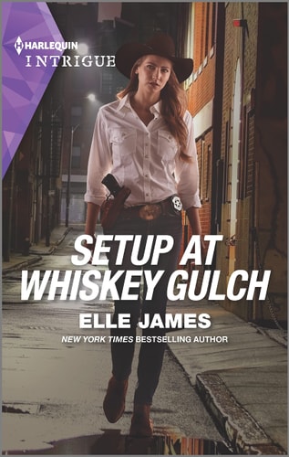 Setup at Whiskey Gulch (The Outriders Series, 4)