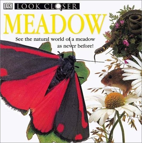Look Closer: Meadow