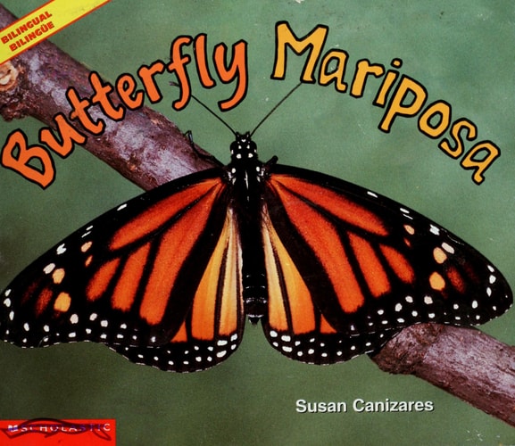 Butterfly Mariposa