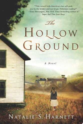 The HOLLOW GROUND: A Novel