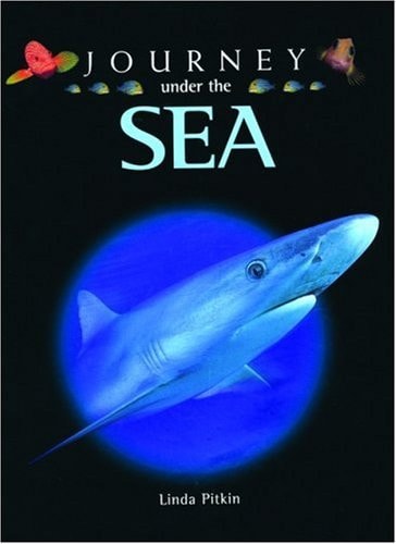Journey under the Sea