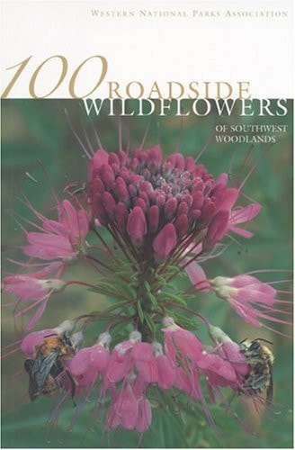 100 Roadside Wildflowers of Southwest Woodlands