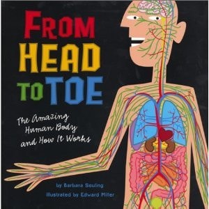 From Head to Toe The Amazing Human Body and how it Works