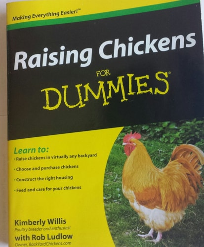 Raising Chickens For Dummies